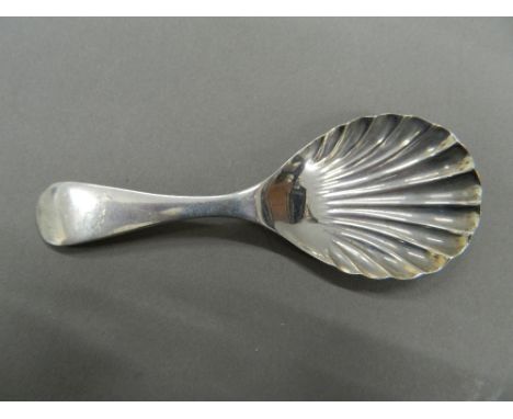 A small silver shell bowl caddy spoon.  9.5 cm long (13.9 grammes).