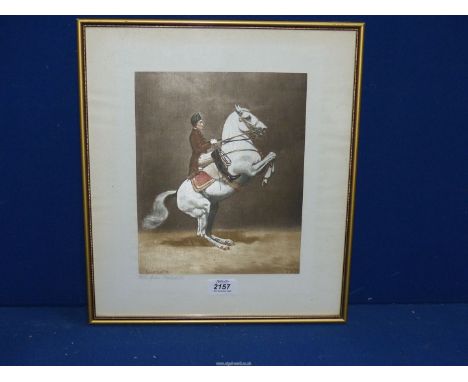 A framed and mounted J. Plank Print on silk titled 'Courbette', 14" x 16" incl. frame.