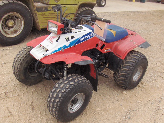 1986 HONDA 200 TRX200SX JH3TE0309GK046002 four wheeler, sold with a ...