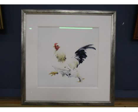 A watercolour (or possibly hand coloured print) of a Cockerel signed, numbered and dated 65x67cm