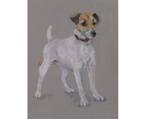 C A Sharpley,coloured pastels, portrait of a Terrier, signed and dated 1988, 18" x 13", framed.