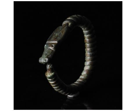 200-100 BC, Celtic Iron Age. Beautiful example of Celtic Iron Age snake ring, comprising a twisted loop and stylised serpenti