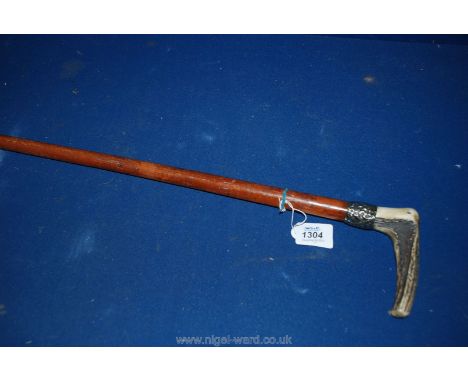 A Malacca Walking Stick with horn handle and silver collar.