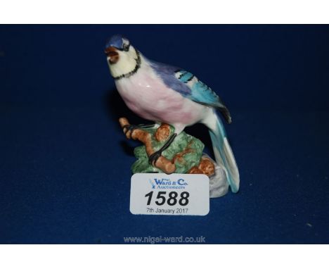 A Royal Worcester figure of a Blue Jay, 3 1/2'' tall.