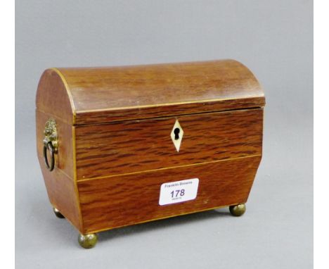 19th Century partridge wood tea caddy, the domed lid opening to reveal interior, with Lion mask handles to side and four bun 