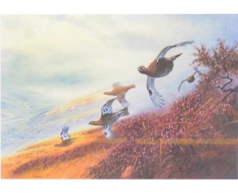 P Allis,Grouse,limited edition colour print, 3/35, signed and with Chelsea Green Editions blind stamp,53x70cm.