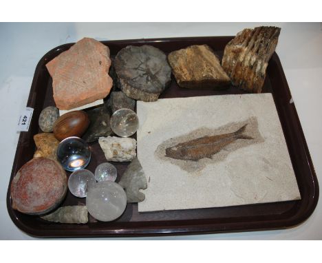 A tray lot of historical artifacts including Roman roof tile, flints etc Condition Report: Available upon request