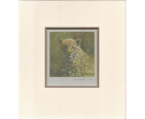 David Shepherd Signed 6x5inch colour Print, Mounted to 11x10 Inches. 164 of 1000 Signed. Print Showing Leopard. Signed in pen