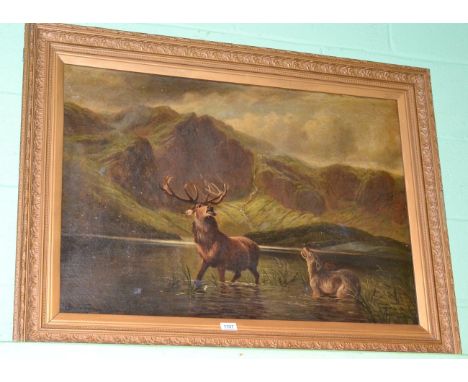 R Dunnington (19th century) Stag at bay in highlands, signed, oil on canvas 