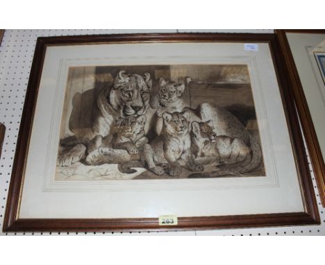 WILLIAM HIGGINS 1820 - 1884 Lioness with cubs in a zoo. Mixed media en-grisaille 12' x 18 ½'. Prov. Given by the artist to Ca
