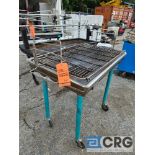 Blue Ridge Mountain Cookery Stainless Steel Charcoal Grill
