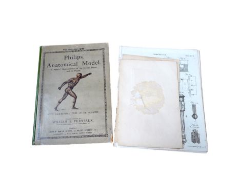 An early 20th century Philips’ Anatomical Model book by William S. Furneaux, together with various pages from a scientific ma