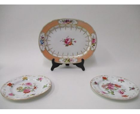 Ten 19th century English plates and dishes, each decorated with flowers or fruit, to include a Chamberlain Worcester meat pla
