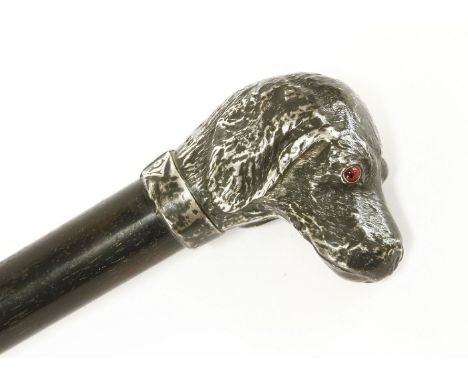 A Victorian novelty silver dog's head-handled walking stick,maker W.S, London 1887,the handle in the form of the head of a sp