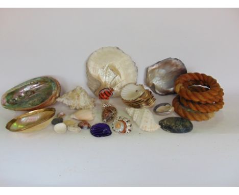 A box containing a collection of various shells to include a large mother of pearl shell, together with four rope quoits