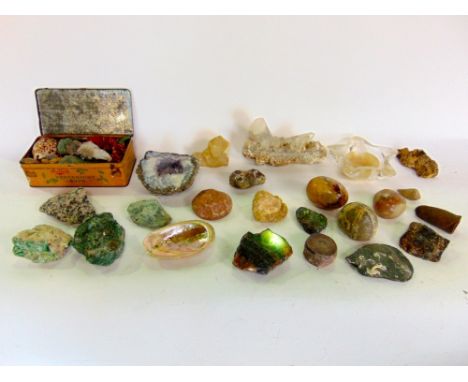 A box containing a collection of various fossils, geode type stones and shells