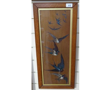 Early 20th century oil on panel, study of birds 