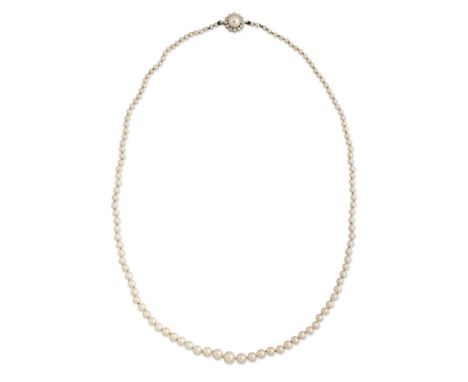 A CULTURED PEARL NECKLACE WITH AN 18 CARAT WHITE GOLD PEARL AND DIAMOND CLUSTER CLASP, graduated cultured pearls knotted to a