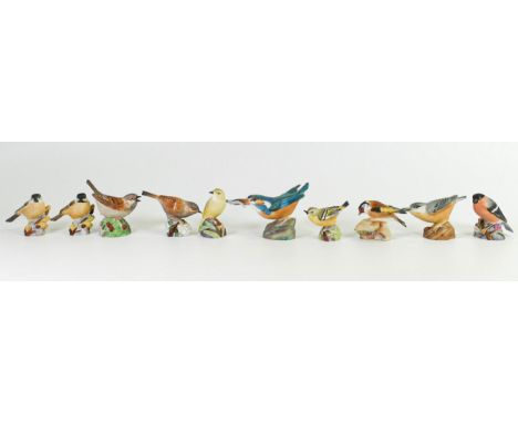 Royal Worcester Matt Wild Bird figures including Bullfinch, Marsh Tit x 2, Wood Warbler, Goldfinch, Kingfisher, Gold Crest, S