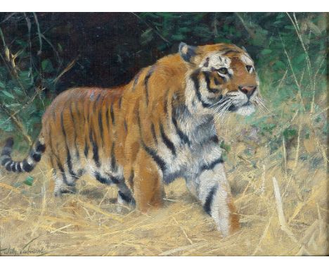 Wilhelm Kuhnert (Oppeln 1865 - Flims/CH 1926). Tiger. Öl/Holz, 20,5 x 27 cm, l. u. sign. Wilh. Kuhnert, verso erneut sign. un