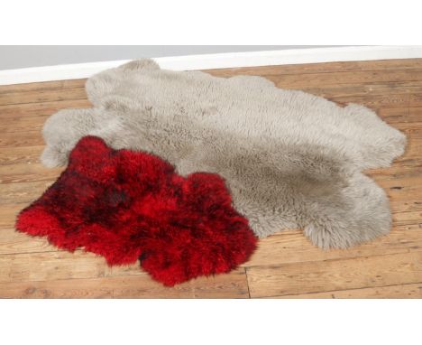 A large light grey quad sheepskin rug with a single red and blacktip example