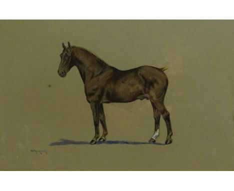 G. Falkner (British early 20th century): Portrait of a Liver Chestnut Stallion, watercolour signed,  28cm x 43cmProvenance: w
