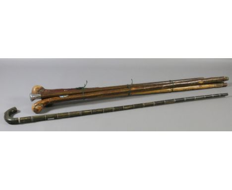 A sectional horn walking stick and a bundle of other sticks.