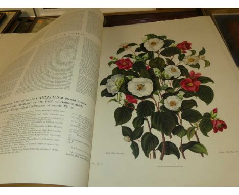 Reproduction folio of botanical prints by Clara Maria Pope, first published 1819, each print approx 68x50cmCondition report: 