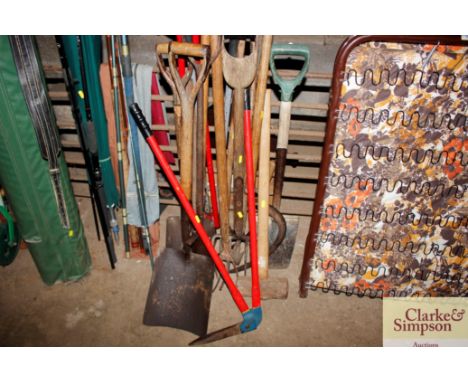 A collection of garden tools