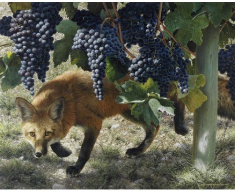 Carl Brenders (American, born 1937)'Between the Vines - Red Fox'signed and dated 'CBrends/09' (lower right) watercolour and g
