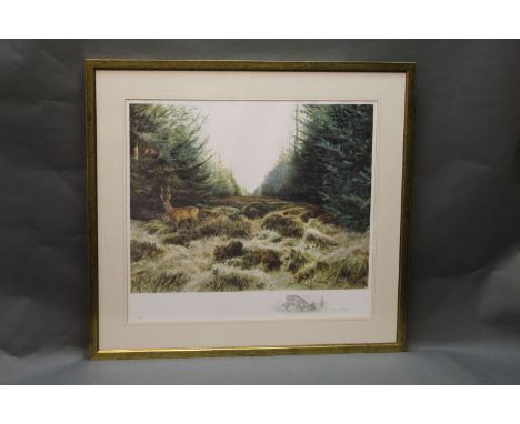 Ashley R Boon (b. 1959), signed limited edition print of a roe buck in woodland, 8/100, with vignette of roe buck to bottom r