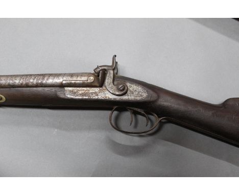 Muzzle loading side/side hammer shotgun, 29" barrels, action and hammers with light acanthus scroll engraving, double trigger