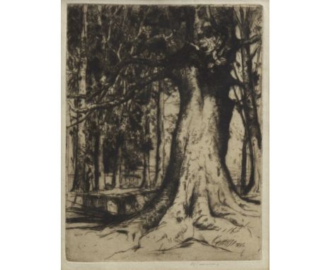 SIR DAVID YOUNG CAMERON RA RSA (SCOTTISH 1865 - 1945), THE SYCAMORE etching, signed in pencil; initialled in the plate 15.5cm