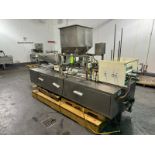 Dual Piston Filler