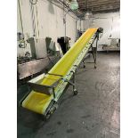 Allen Incline Conveyor