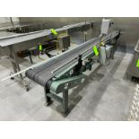 Straight Section of Hytrol Case Conveyor