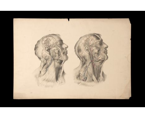 Maclise, Joseph, Surgical Anatomy, Maclise, Joseph, Surgical Anatomy, first edition, with 24 lithographed plates with partial