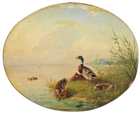 Carl Jutz der Ältere(1838 Windschläg - 1916 Pfaffendorf)Stockenten am SeeuferFrühes Vogelbild des Malers mit überaus detailre