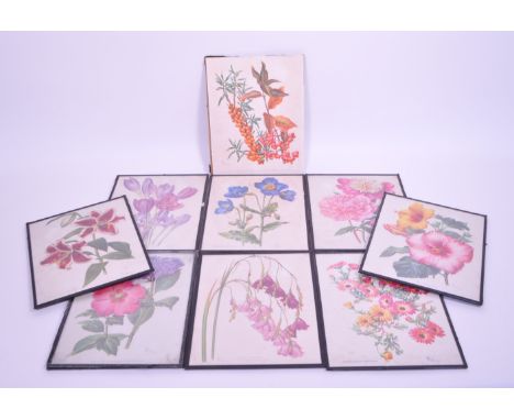 After Dora Ratman - Nine 20th century botanical prints, originally for features in the Amateur Gardening Magazine in the 1950