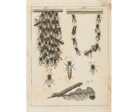 Bees.- [Bazin (Gilles Augustin)] The natural history of bees. Containing An Account of their Production, their Oeconomy, the 