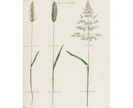 Amos (William) Minutes in Agriculture and Planting ... Illustrated with Specimens ..., first edition, 3 leaves of grass sampl