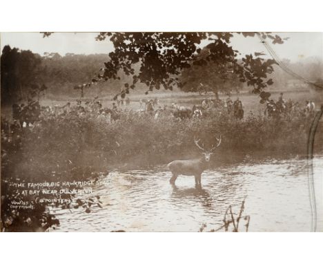 THE FAMOUS BIG HAWKRIDGE STAG AT BAY NEAR DULVERTON black and white photographic print, 42 x 63cm; and Highland scene and two