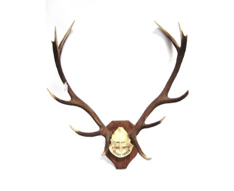 A PAIR OF ANTLERS skull mount with painted inscription 2nd Oct 1987, Coire Chatham, Cluny Castle on a shaped wooden shield fo