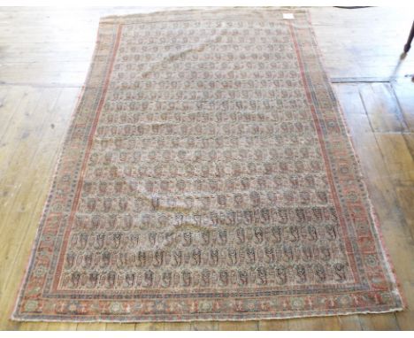 A Persian Senneh rug, 230 x 158 cm Condition report Report by GH

The carpet is heavily faded and with heavy loss to colour. 