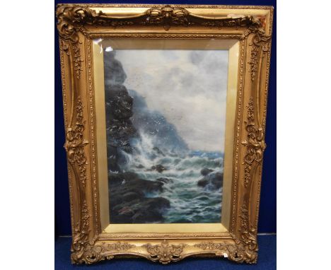 F.W. GRAHAM Where Sea Birds Dwell, Signed lower left, oil on canvas, 61cm x 41cm.Label verso: Davidson Kay &amp; Co.