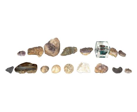 A tray of geological specimens including an agate slice, amethyst and fossilized sea urchins (one tray)