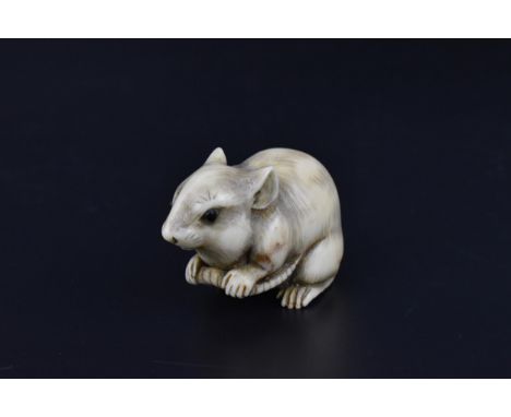 A Japanese Meiji period carved ivory netsuke modelled as a rat, naturalistically carved with fine textured hair detail and ri