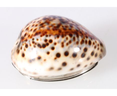 Cowrie shell snuff box the mount engraved with female figure and anchor, initialled cartouche and wavy, makers mark possibly 