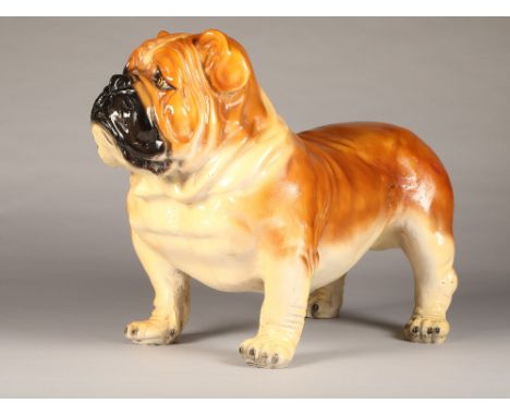 Lifesize hand painted ceramic figure of a Bulldog, circa 1920's standing alert (minor repair and reconditioning)length 74cm, 