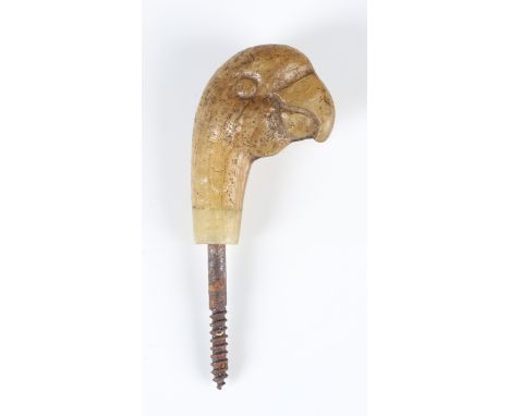 An early 20th century rhinoceros horn parasol handle, carved as the head of a parrot, height 5.5cm. Note: as this lot incorpo